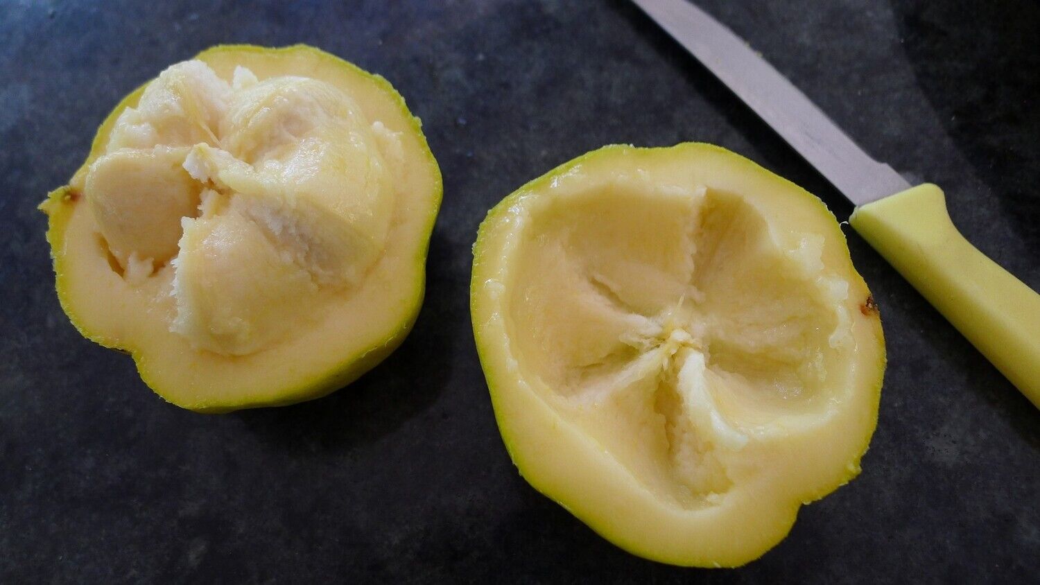 white sapote fruit